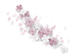 泡芙子采集到png