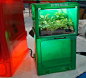 Newsboxes Repurposed Into Artsy Aquariums, Terrariums