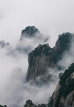 格格紫滟小采集到疏影