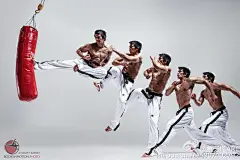 象牙塔ART的照片 - 微相册