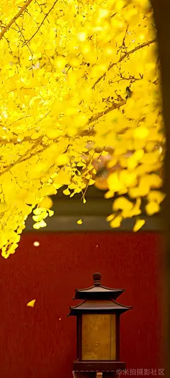走进故宫一眼千年•北京故宫以三大殿为中心，占地面积约72万平方米，建筑面积约15平方米，有大小宫殿七十多座，房间九千余间。——故宫#北京