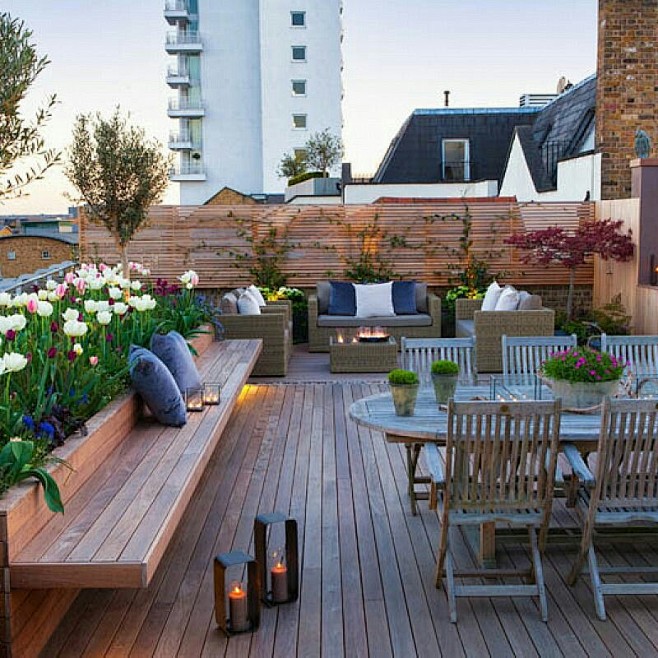 Terrace Gardening (2...