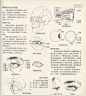 人体造型基础——人体局部解剖