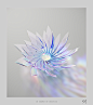 abstract c4d caustics glass redshift dispersion iridescent reflection refraction 3D