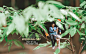 Prewedding Style Kontuelek Archives - คนตัวเล็ก - Ekkachai Photograph