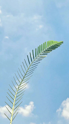 顾知非采集到小清新。