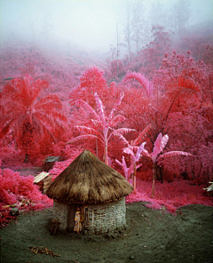 ~year淡淡的沐曦采集到那些煞到你的风景~~