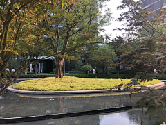 Emily&Emily采集到居住区植物意向
