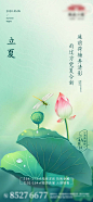 【源文件下载】 海报 房地产 二十四节气 立夏 荷花 蜻蜓  81462