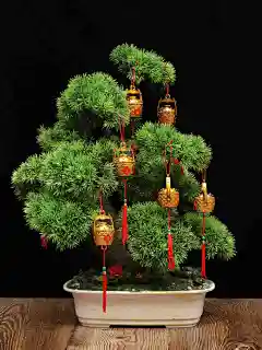春节新年装饰品过年福字元宝盆景小灯笼挂饰树上挂件室内乔迁新居-tmall.com天猫