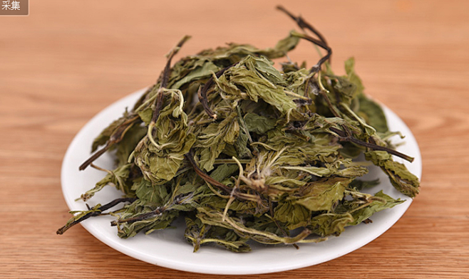 干薄荷叶茶清凉去火解乏提神