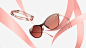 OMEGA-MD-ACCESSORIES-16x9.jpg