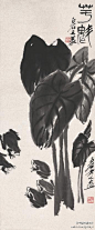 齐白石 作品《芋魁》--- 齐白石是农家子弟，他的花鸟草虫画之所以独领风骚，最大的原因便在于他与花鸟草虫之间系着一份深情，画花鸟草虫其实就是画他最可追忆的人生，是其真实生活里提炼出的画艺、画趣与画境。