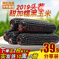 【新货】 待见山西新鲜甜糯黑玉米棒非转基因黏糯玉米苞米生鲜营养早餐10根220g整箱加2根黄玉米【图片 价格 品牌 报价】-京东