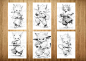 25 Cute Cool Kung Fu Cats Animals Coloring Page Kids Adults image 6