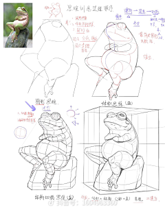 又一块地采集到插画插图