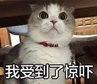 #表情# #表情包# #微信表情包# #微信表情# #贱表情#