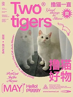 海报设计系列（宠物猫） - 小红书