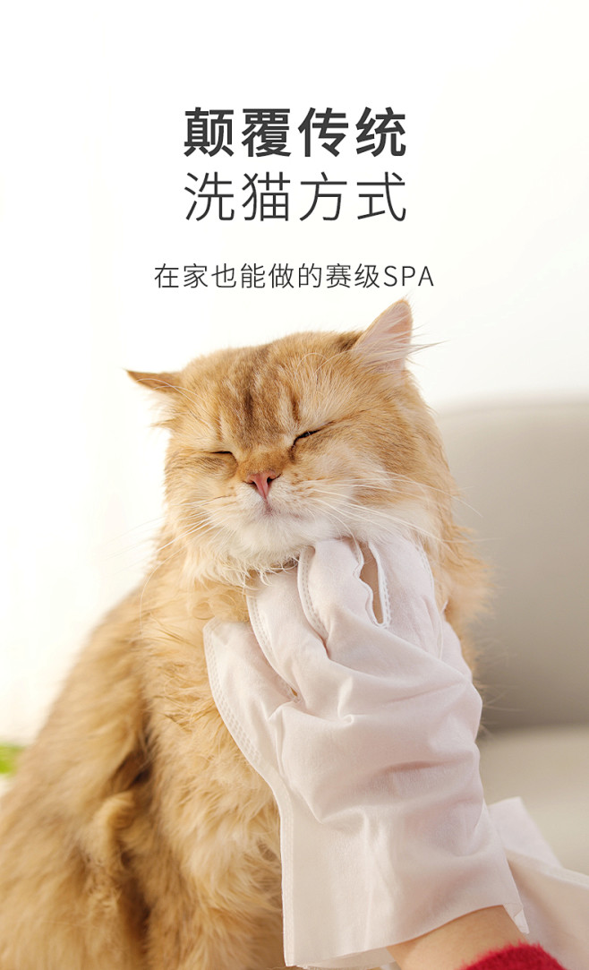 宠物猫咪免洗手套猫专用清洁用品猫咪干洗手...