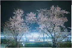 朔偃采集到Iska
