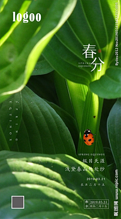 羊小懒采集到节气