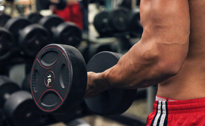 Gymster – Fitness an...