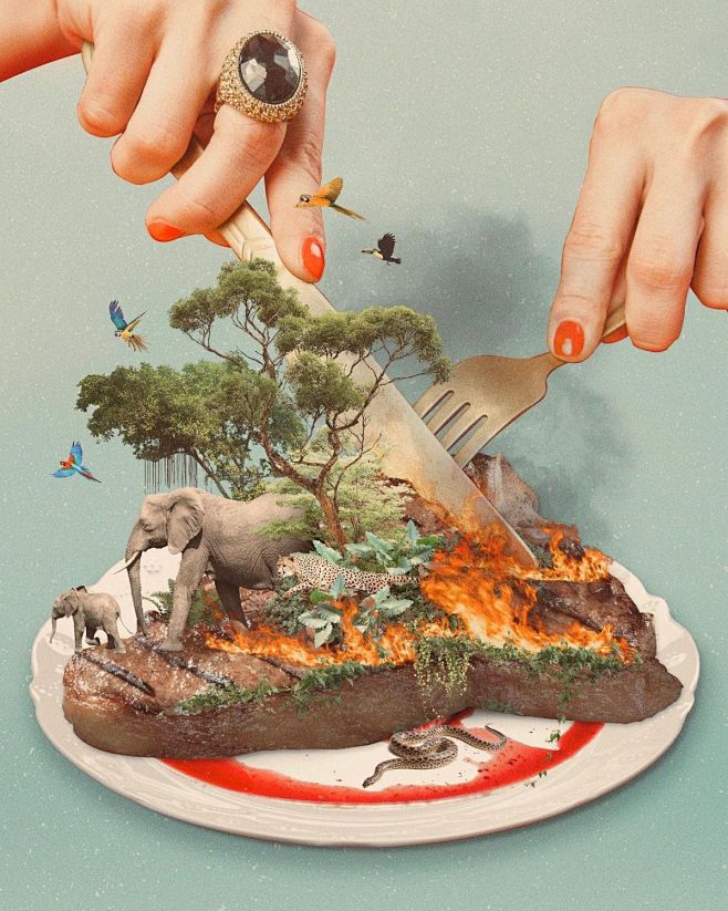 Sara Neuhart – Visua...