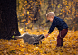 Woodland Friends by Lisa Holloway on 500px