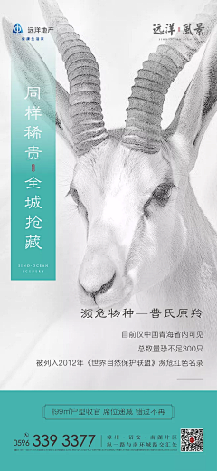 JzZzLHOH采集到稀缺