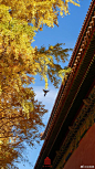 "
问何物、能令公喜？
我见青山多妩媚，料青山见我应如是。
情与貌，略相似。
"
——〔宋〕辛弃疾《贺新郎·甚矣吾衰矣》