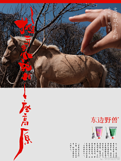 RCchow采集到板式
