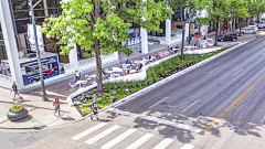 汤水水水采集到植物——市政道路