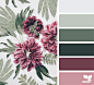 seed Archives | Page 15 of 17 | Design Seeds