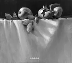 静物 | 喵喵女侠 - 练习作品 - 涂鸦王国插画