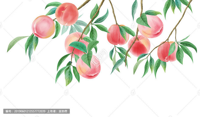 手绘桃子