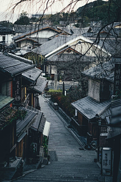 雨中的小黑球球采集到古镇陈墙