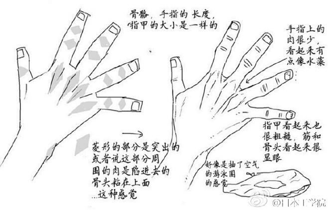 #日本工学院#给大家分享一组关于手、脚的...