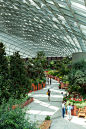 新加坡世界级超级温室花园 / Grant Associates – mooool木藕设计网
