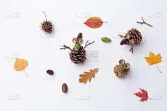 简单的天然材料工艺，儿童，手工制品松果和秋天的叶子。感恩节装饰.