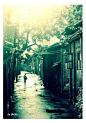 The_Old_days_in_China_by_without_name、绿、Green、桌面、背景