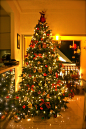 Beautiful-Christmas-Tree.jpg (2592×3888)