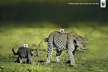 保护动物公益海报创意设计