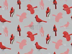 北鸟红衣主教墙纸