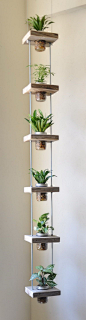 vertical herb garden from salvaged wood and mason jars, Cool DIY Indoor Herb Garden Ideas, http://hative.com/cool-diy-indoor-herb-garden-ideas/,