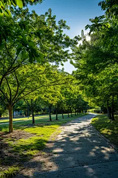 城市公园休闲廊道高清摄影图