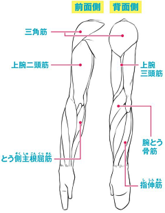 墨意非攻采集到【技能】【绘画】人体