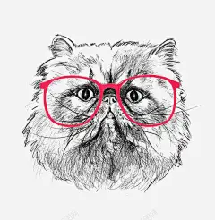 手绘波斯猫 平面电商 创意素材