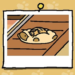 萌玥采集到ねこあつめ