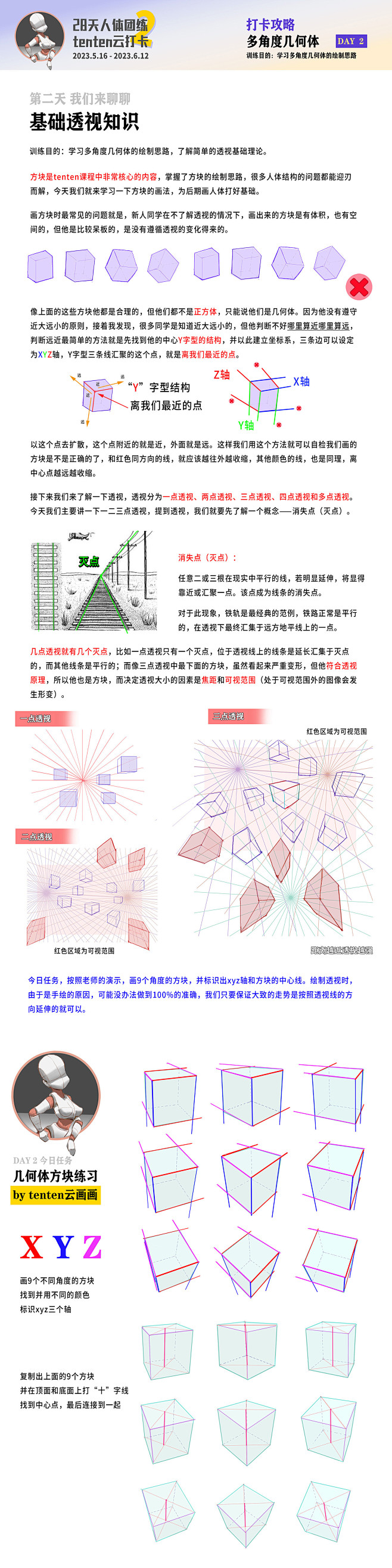 人体与透视体积的关系
