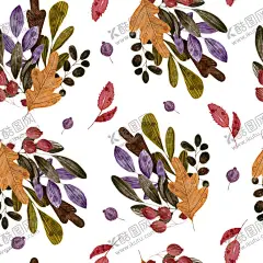 植物图案 【酷图网】花卉,花朵,水彩,花草,植物,叶子,夏季,手绘,插画,插图,背景,底图,壁纸,元素,装饰,图案,纹样,花纹,肌理,肌底,纹路,底纹,素材,png,png图,PNG图,透明图,免扣图,免扣,免扣素材,透明背景,透明底,PNG,抠图,无缝,二方连续,四方连续,